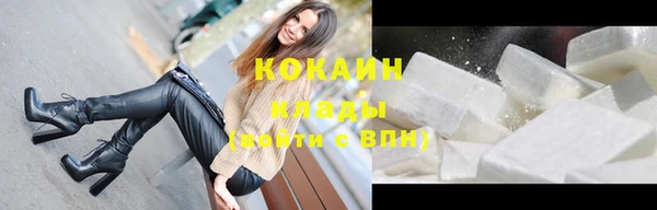 гашик Алзамай