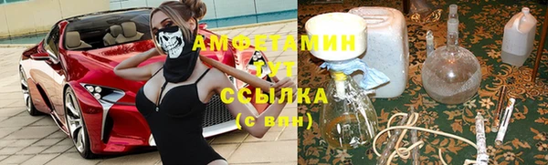 гашик Алзамай