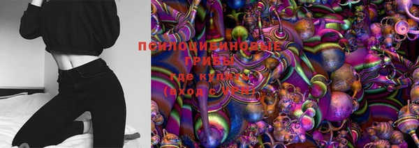 PSILOCYBIN Алексин