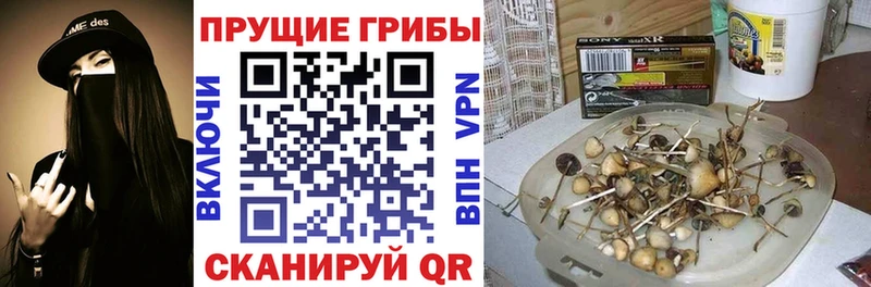 Галлюциногенные грибы MAGIC MUSHROOMS  Сим 
